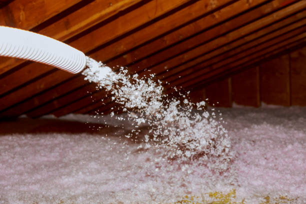 Best Cellulose Insulation in Mexico, MO