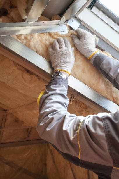 Best Commercial Insulation in Mexico, MO