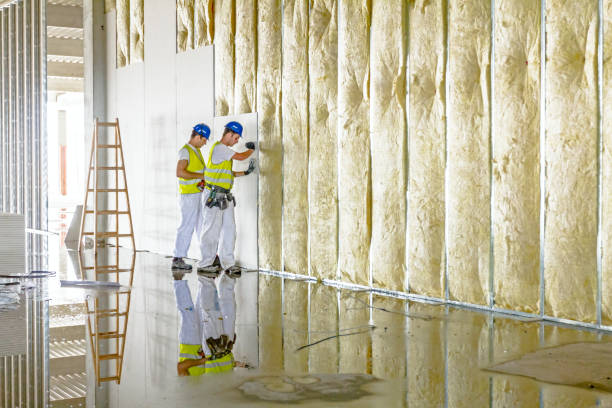 Best Geographic-Specific Insulation Services in Mexico, MO